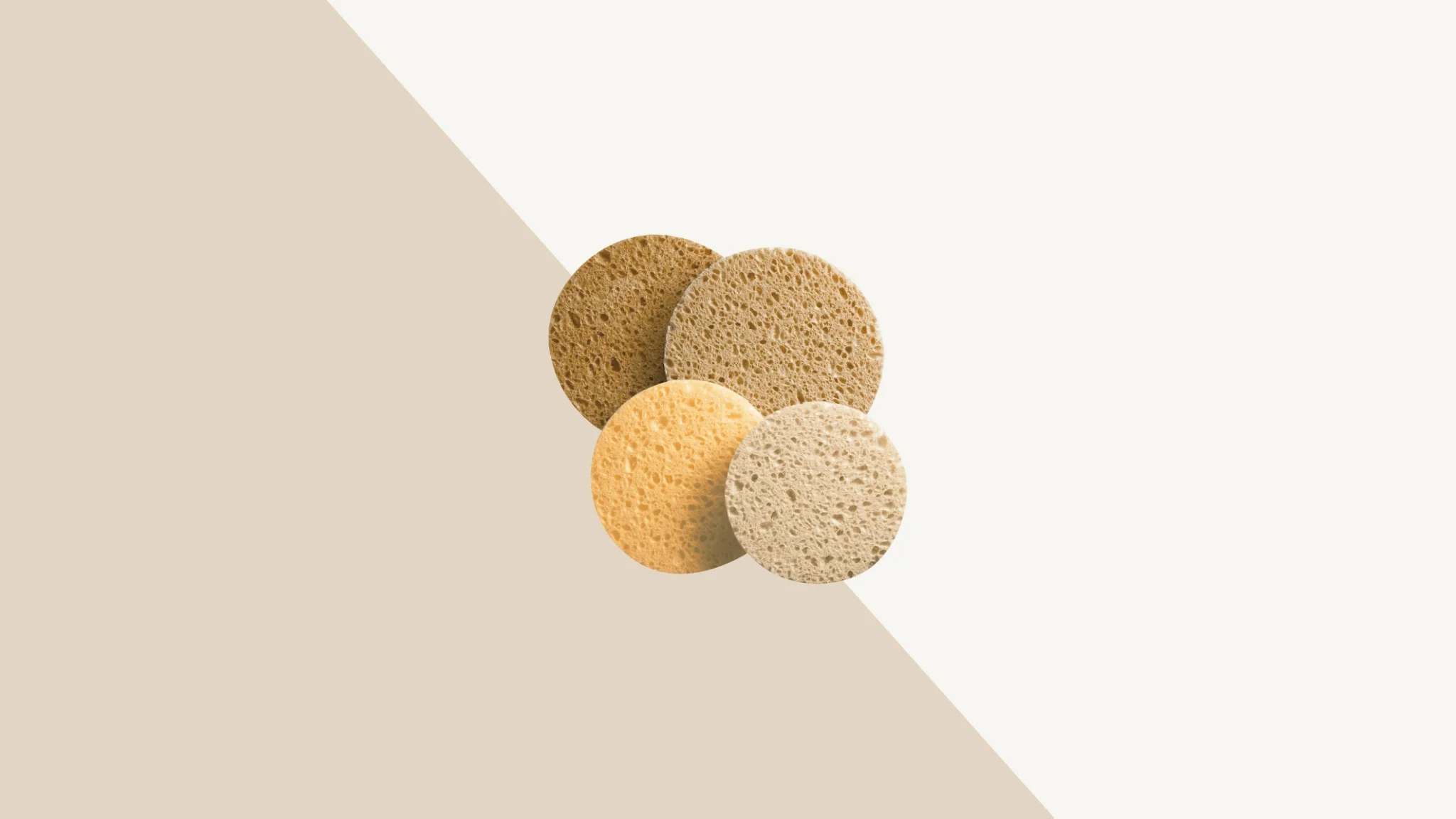 CLEANSING SPONGES